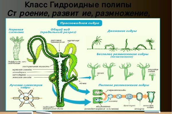 Кракен даркнет сайт ссылка